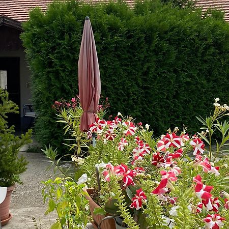 Mandula Haz Hotell Veszprém Exteriör bild